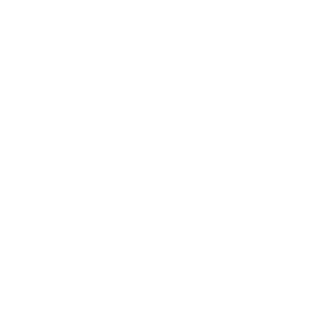 Get It Visual bedrijfs logo wit transparant